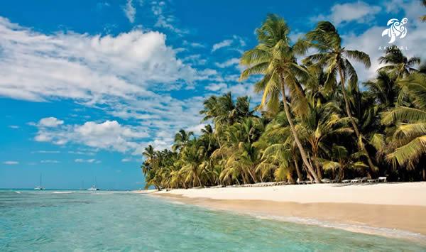 This is an example of why the Rivieria Maya's beaches are world renown: beautiful coconut palms right on the perfect sand