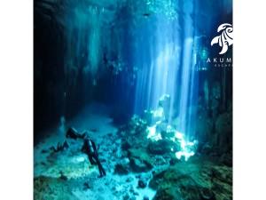 Beneath the surface of a cenote with divers