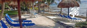 Our private beach with beach loungers and palapas